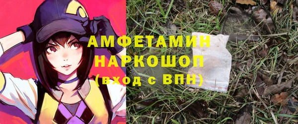 стафф Алексин
