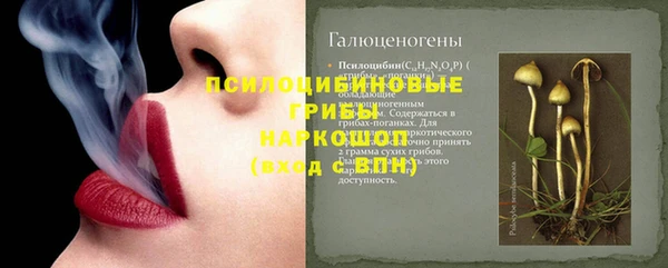 дмт Абаза